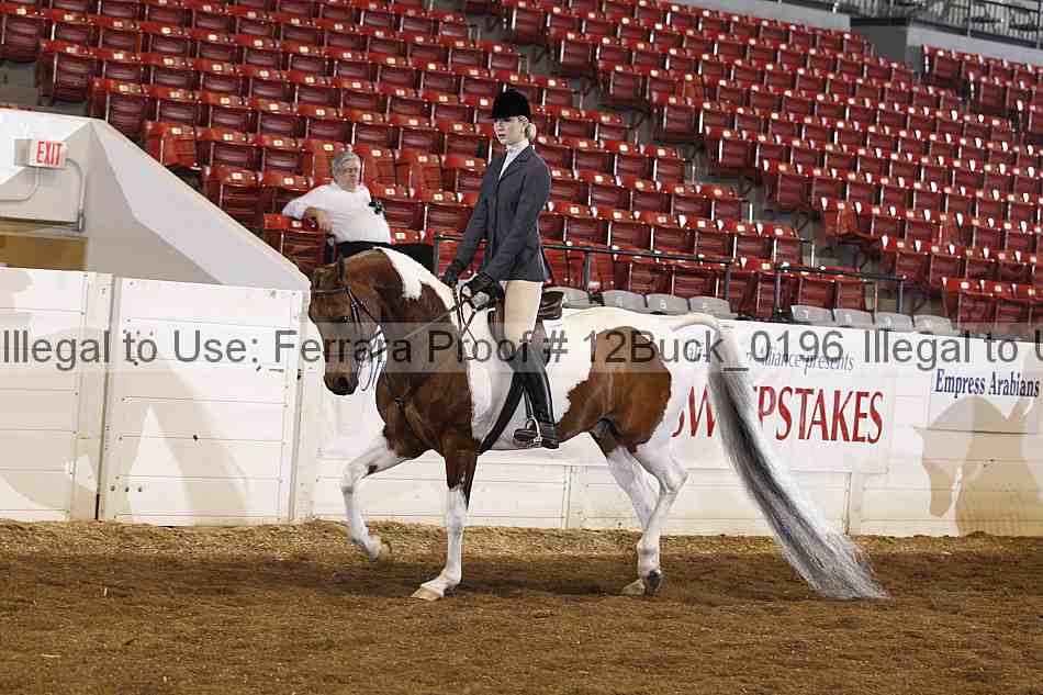 Proof 12buck_0196