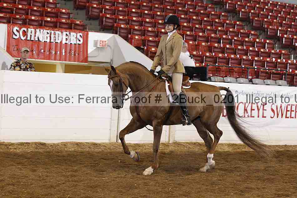 Proof 12buck_0201