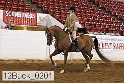 12buck_0201 proof