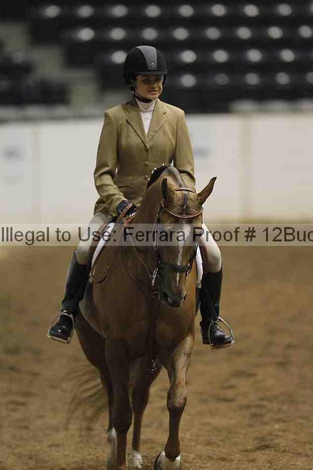Proof 12buck_0202