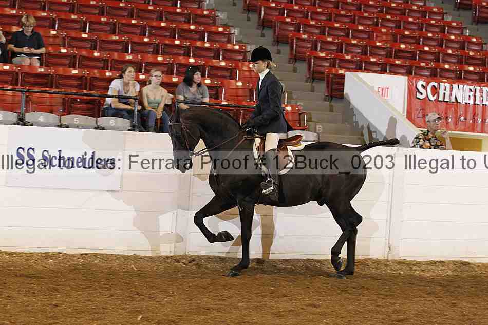 Proof 12buck_0203