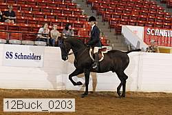 12buck_0203 proof