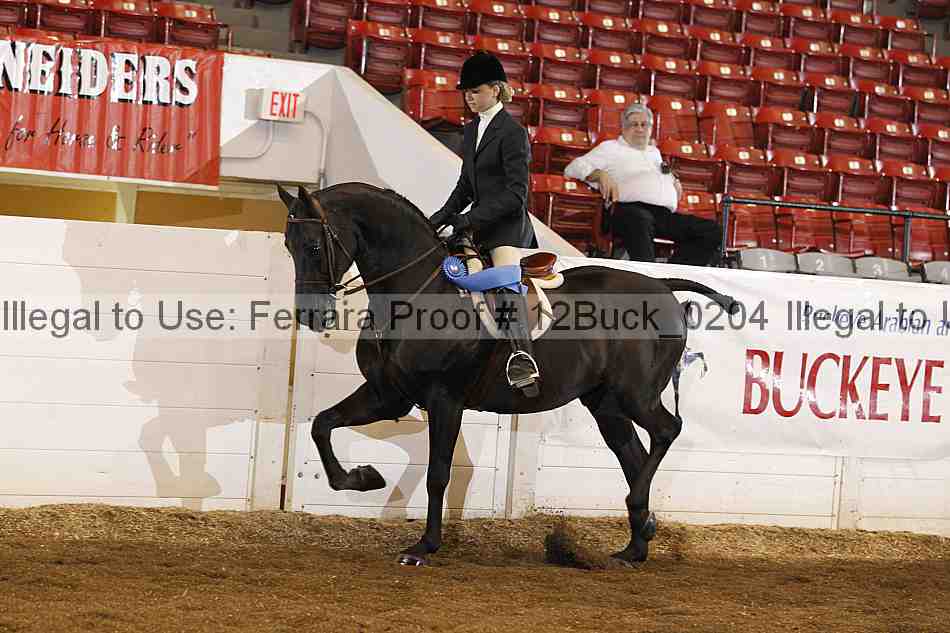 Proof 12buck_0204