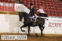 12buck_0204 proof