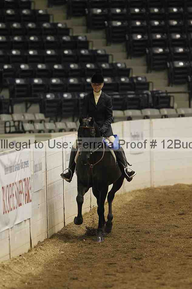 Proof 12buck_0206