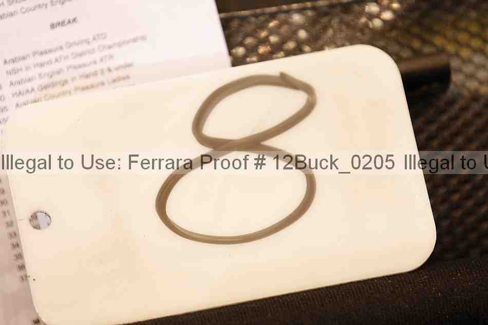 Proof 12buck_0205