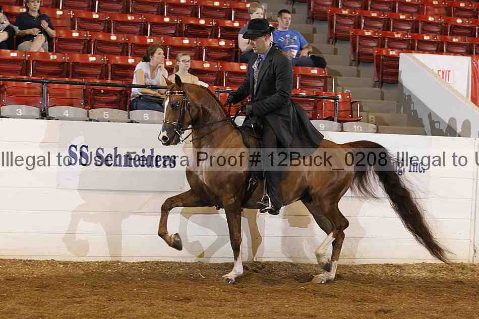 Proof 12buck_0208