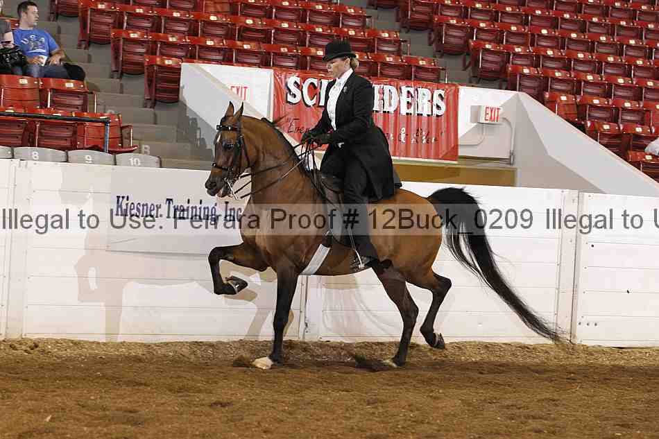 Proof 12buck_0209