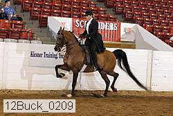 12buck_0209 proof