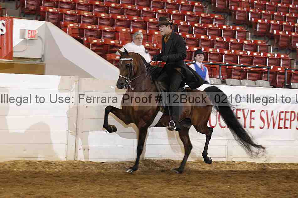 Proof 12buck_0210