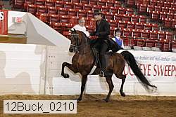 12buck_0210 proof