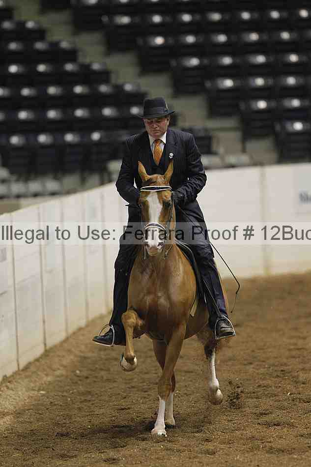 Proof 12buck_0211