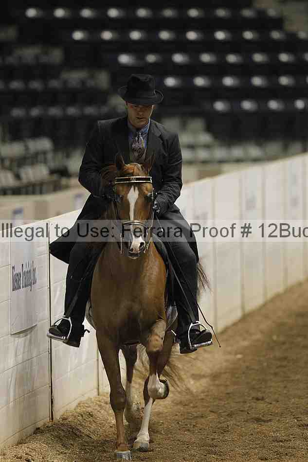 Proof 12buck_0213