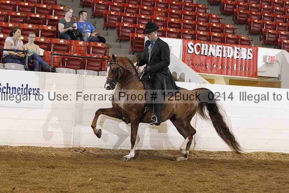 Proof 12buck_0214