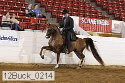 12buck_0214 proof