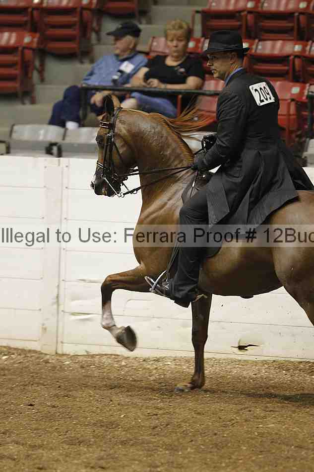 Proof 12buck_0216