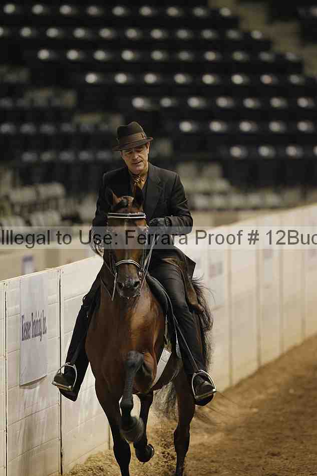 Proof 12buck_0217