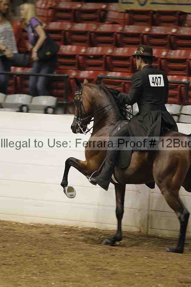Proof 12buck_0218