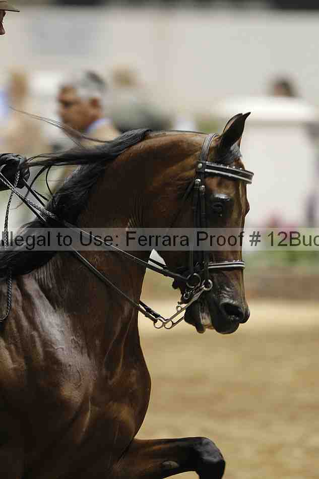 Proof 12buck_0219