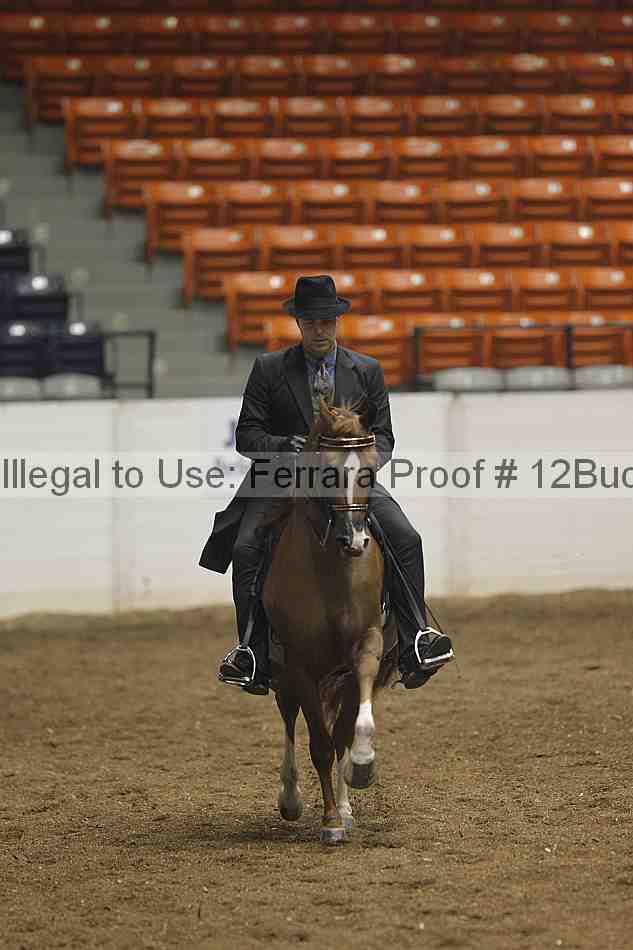 Proof 12buck_0220