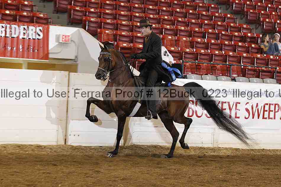 Proof 12buck_0223