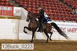 12buck_0223 proof