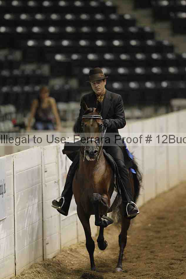Proof 12buck_0225