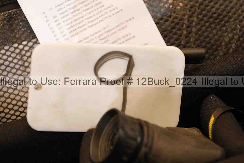 Proof 12buck_0224