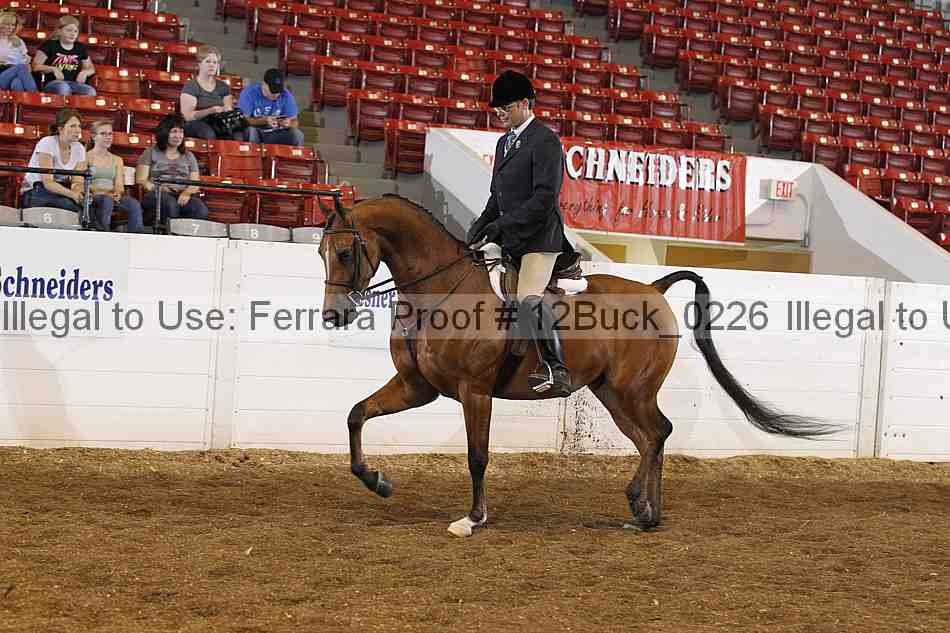 Proof 12buck_0226