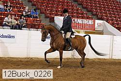 12buck_0226 proof