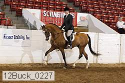 12buck_0227 proof