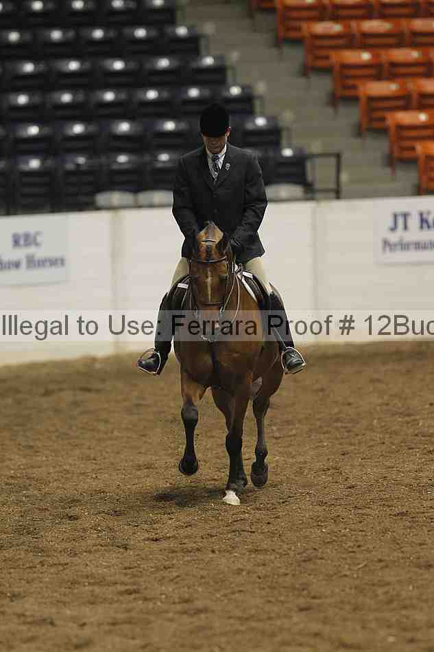 Proof 12buck_0228