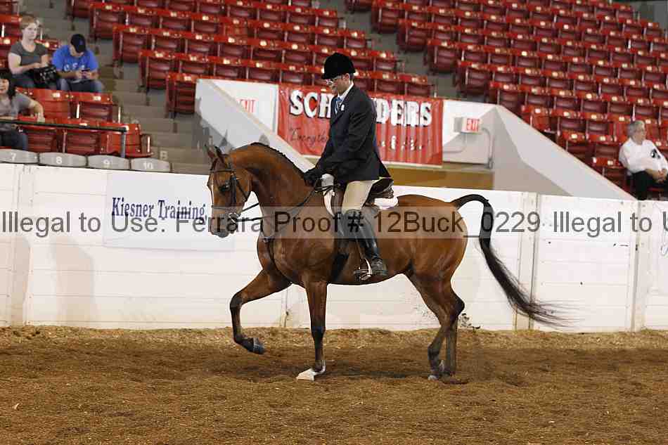 Proof 12buck_0229