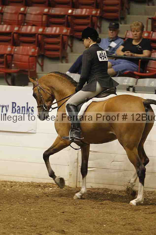 Proof 12buck_0232