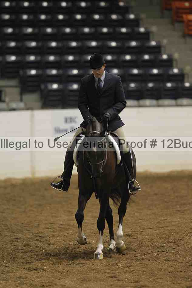 Proof 12buck_0233