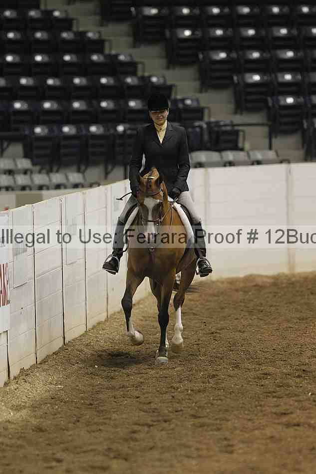 Proof 12buck_0234