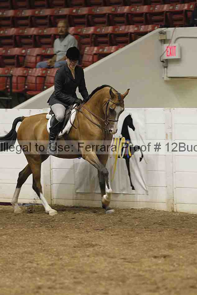 Proof 12buck_0238