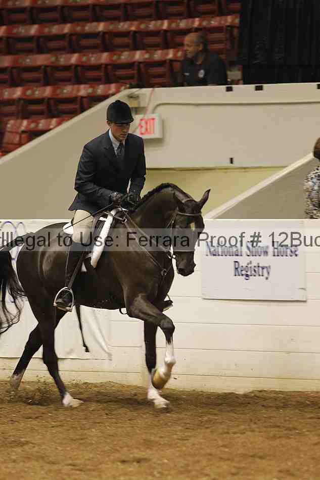 Proof 12buck_0239