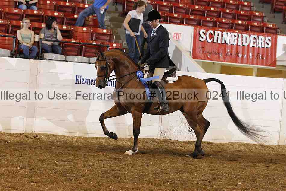 Proof 12buck_0241