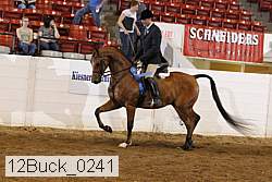 12buck_0241 proof