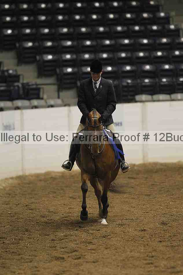Proof 12buck_0243