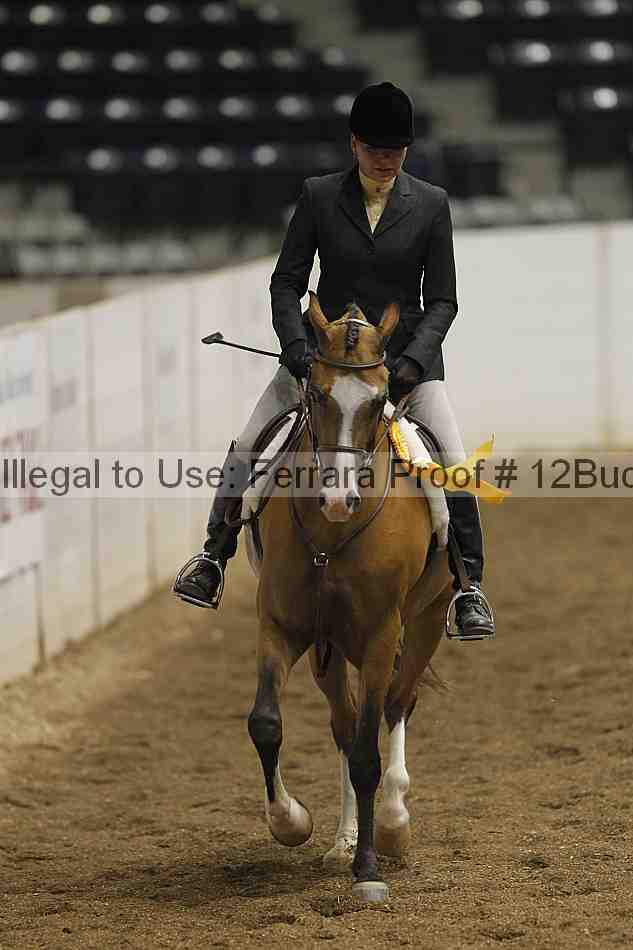 Proof 12buck_0245