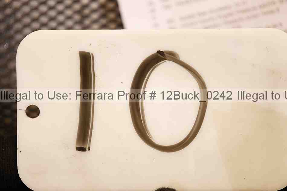 Proof 12buck_0242