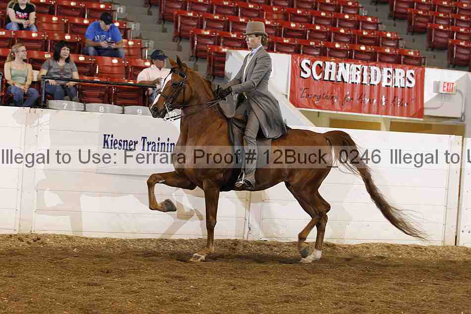 Proof 12buck_0246
