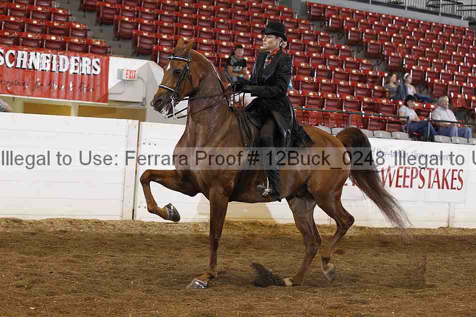 Proof 12buck_0248