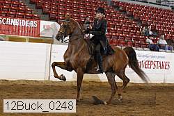 12buck_0248 proof