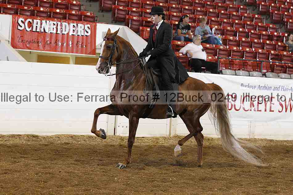 Proof 12buck_0249