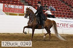 12buck_0249 proof