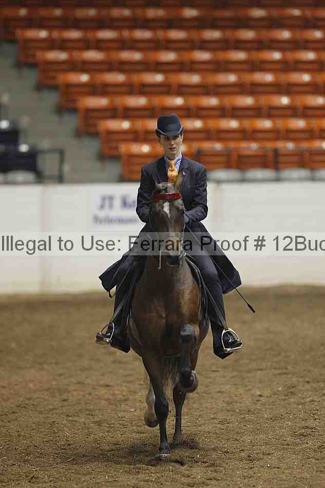 Proof 12buck_0250