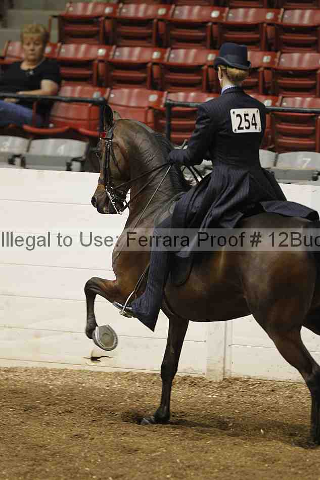 Proof 12buck_0251